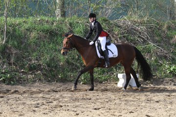 Bild 1276 - WBO-Turnier am 9.4.11